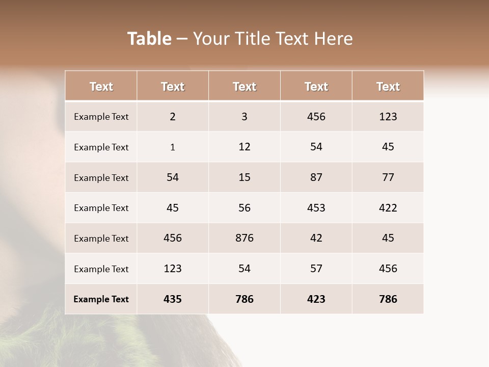 Womens Style PowerPoint Template