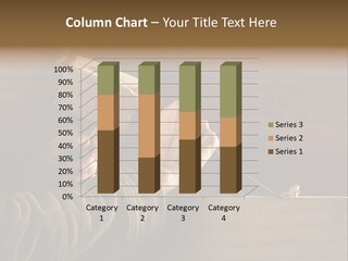 Cabinet Maker PowerPoint Template