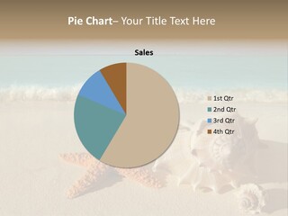 Sea Shells PowerPoint Template