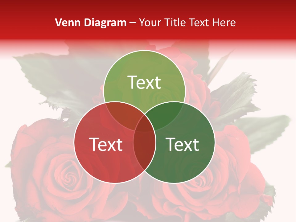 Roses Download PowerPoint Template