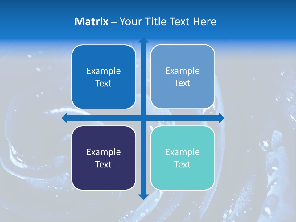 Facebook Cover Photo Blue Roses PowerPoint Template