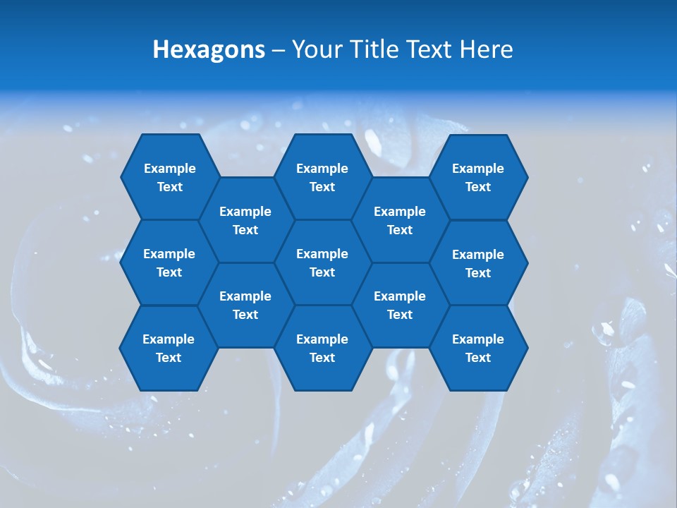 Facebook Cover Photo Blue Roses PowerPoint Template