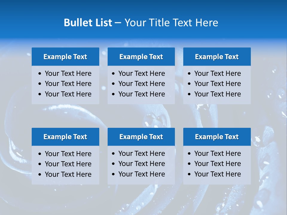 Facebook Cover Photo Blue Roses PowerPoint Template