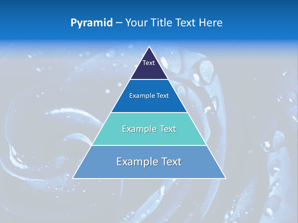 Facebook Cover Photo Blue Roses PowerPoint Template