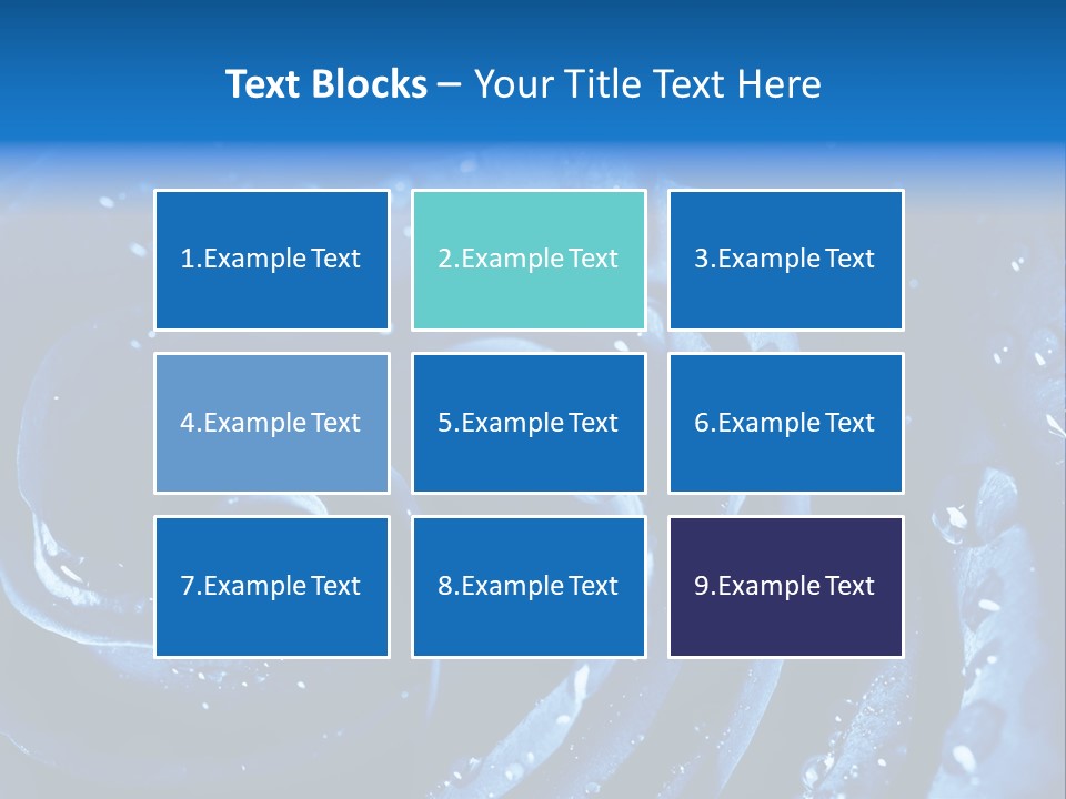 Facebook Cover Photo Blue Roses PowerPoint Template