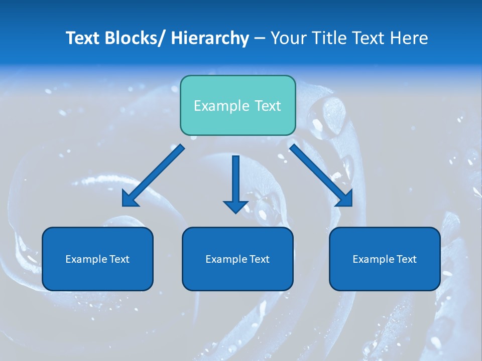 Facebook Cover Photo Blue Roses PowerPoint Template