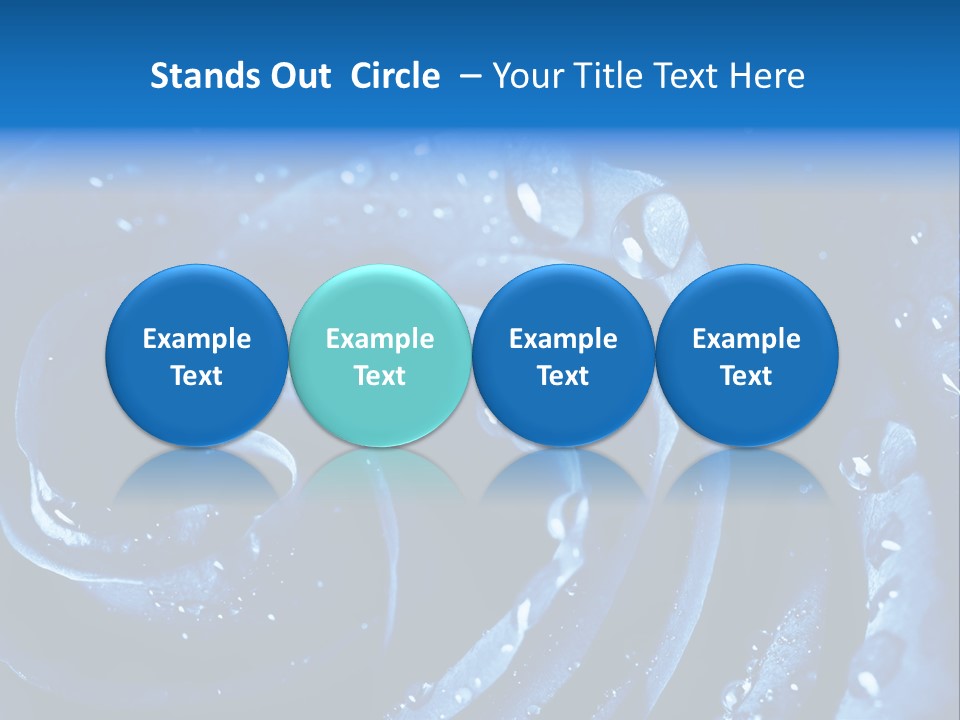 Facebook Cover Photo Blue Roses PowerPoint Template