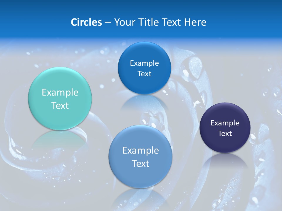 Facebook Cover Photo Blue Roses PowerPoint Template