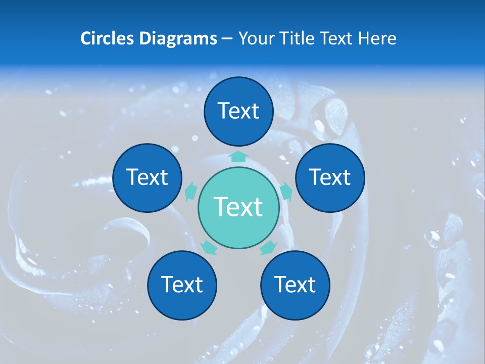 Facebook Cover Photo Blue Roses PowerPoint Template