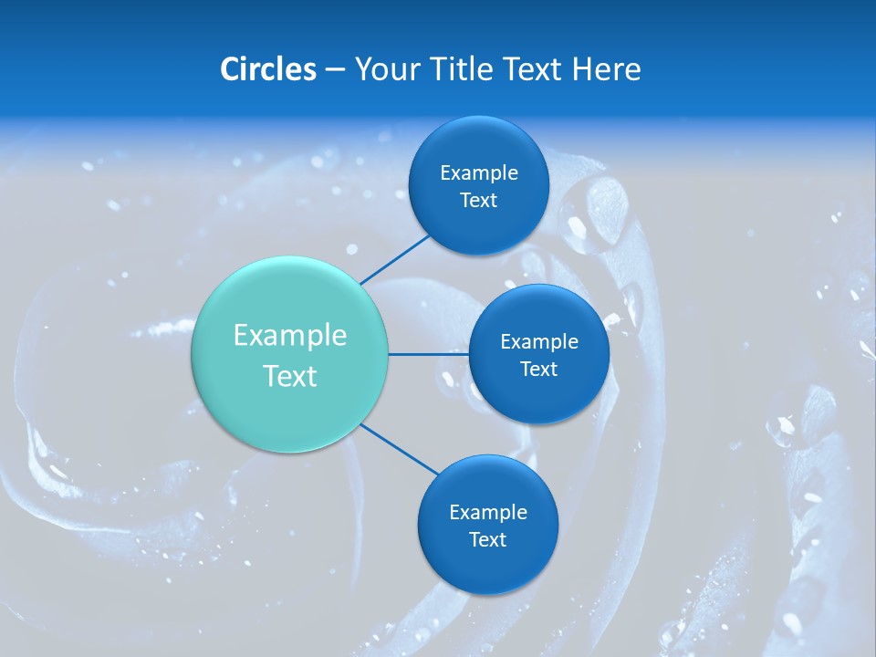 Facebook Cover Photo Blue Roses PowerPoint Template