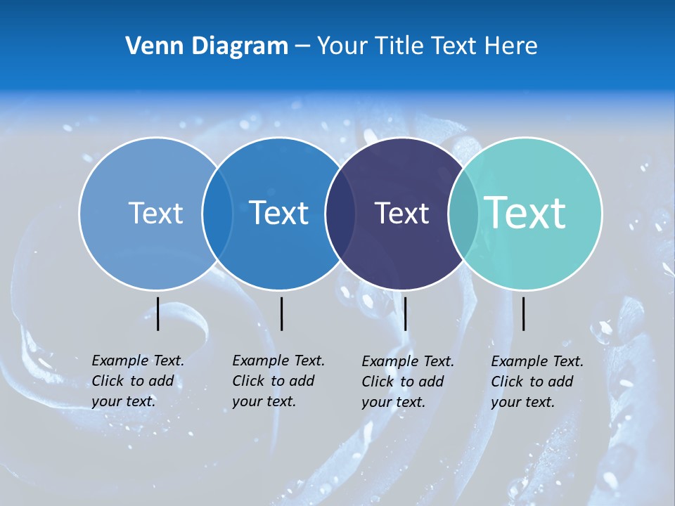 Facebook Cover Photo Blue Roses PowerPoint Template