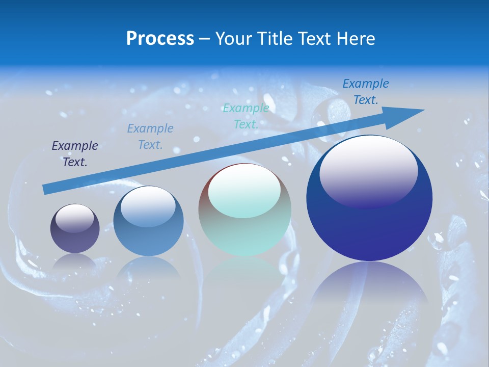 Facebook Cover Photo Blue Roses PowerPoint Template