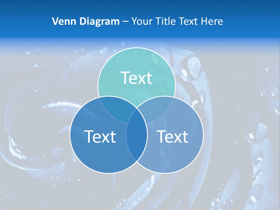 Facebook Cover Photo Blue Roses PowerPoint Template