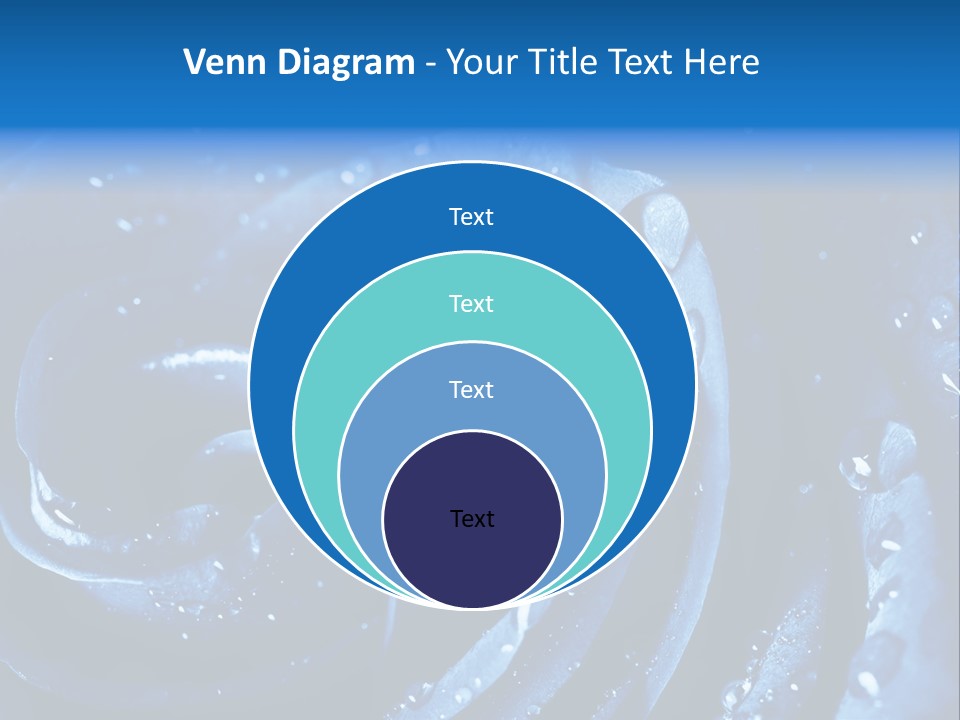 Facebook Cover Photo Blue Roses PowerPoint Template