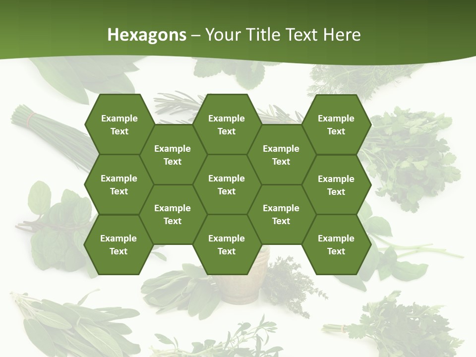 Natural Herbs PowerPoint Template
