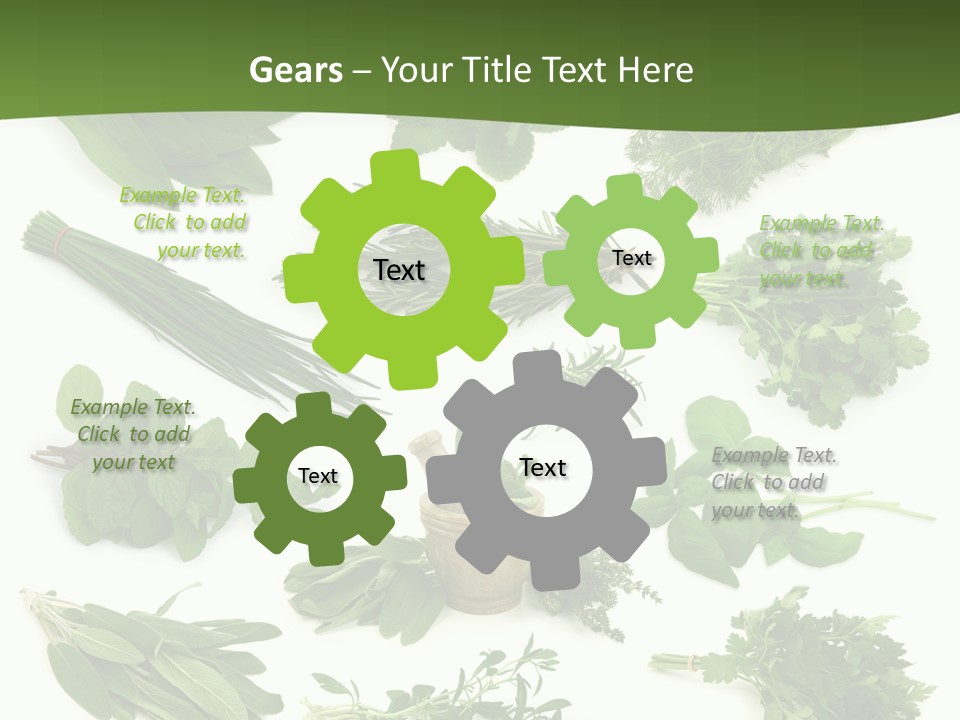 Natural Herbs PowerPoint Template