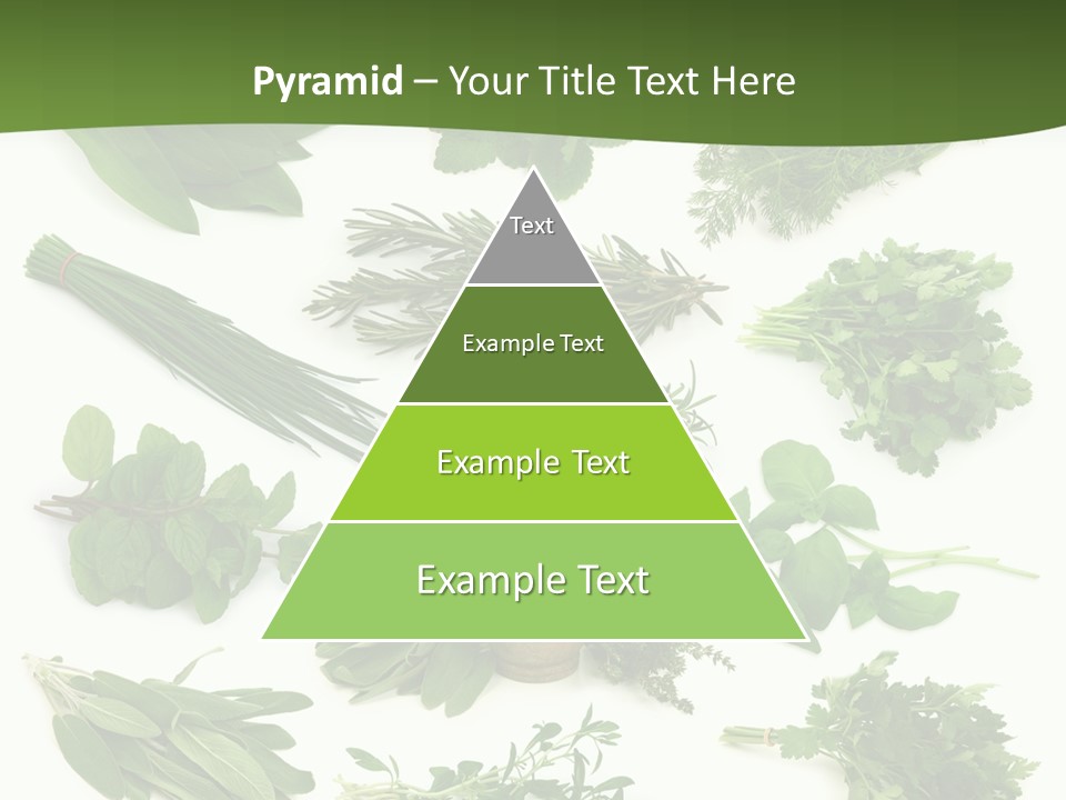 Natural Herbs PowerPoint Template