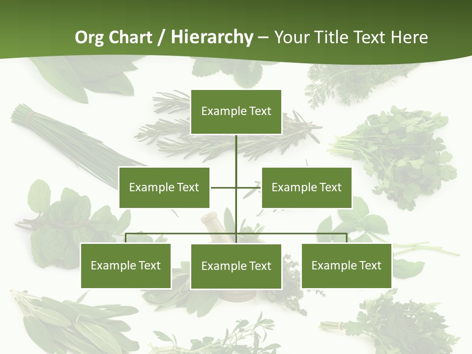 Natural Herbs PowerPoint Template