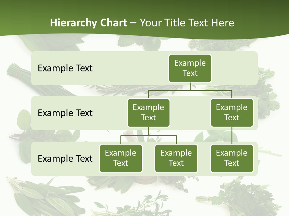 Natural Herbs PowerPoint Template