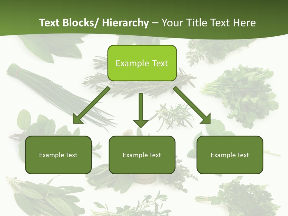 Natural Herbs PowerPoint Template