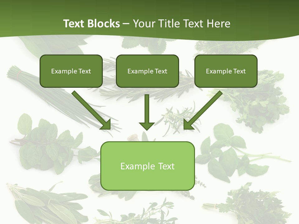 Natural Herbs PowerPoint Template