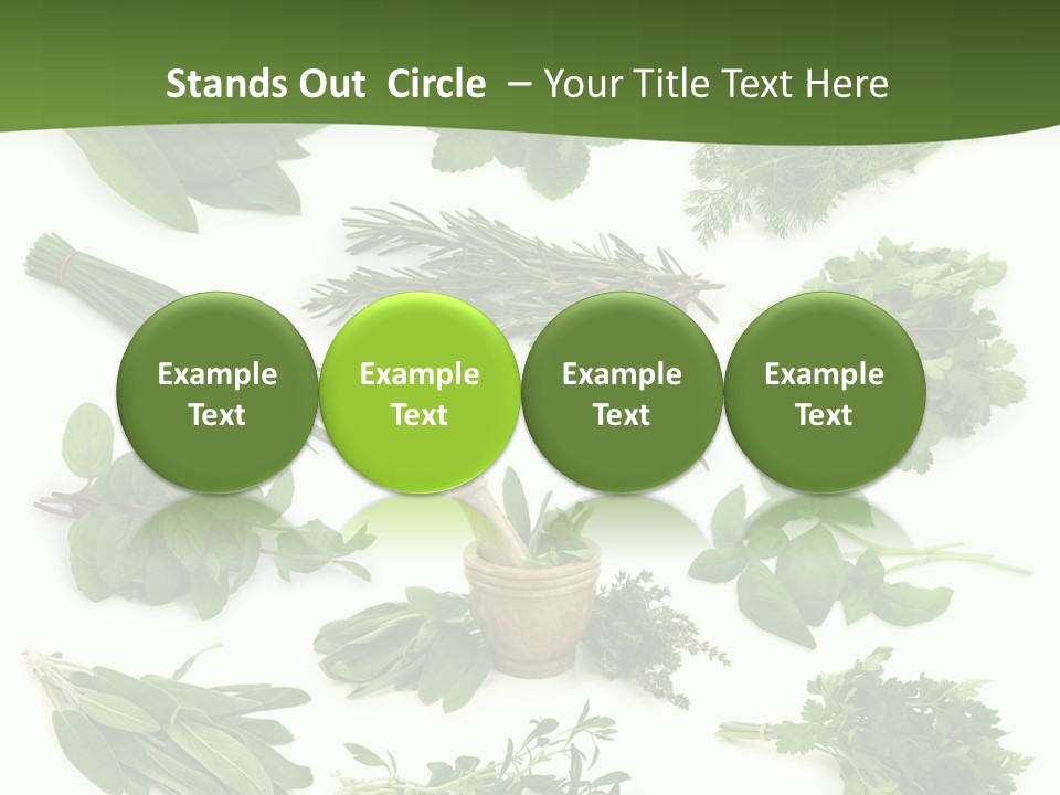 Natural Herbs PowerPoint Template