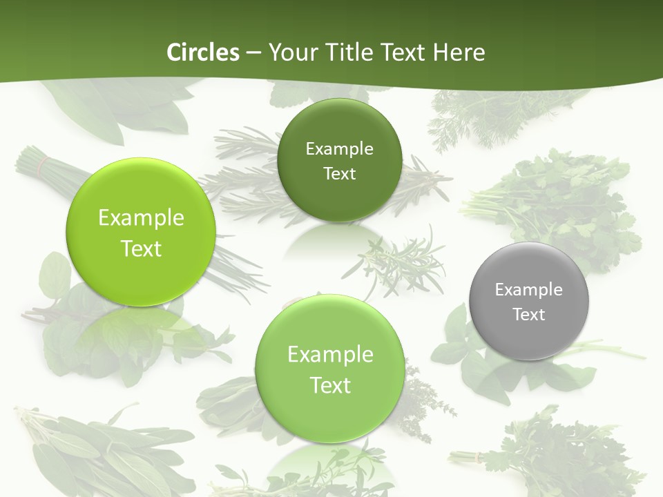 Natural Herbs PowerPoint Template