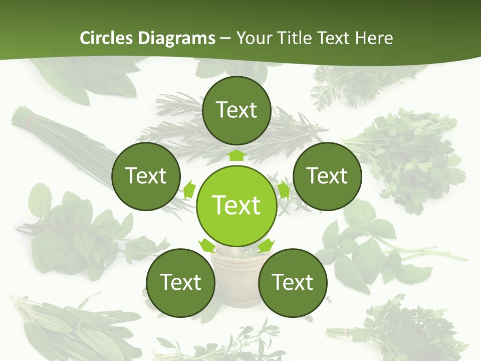 Natural Herbs PowerPoint Template