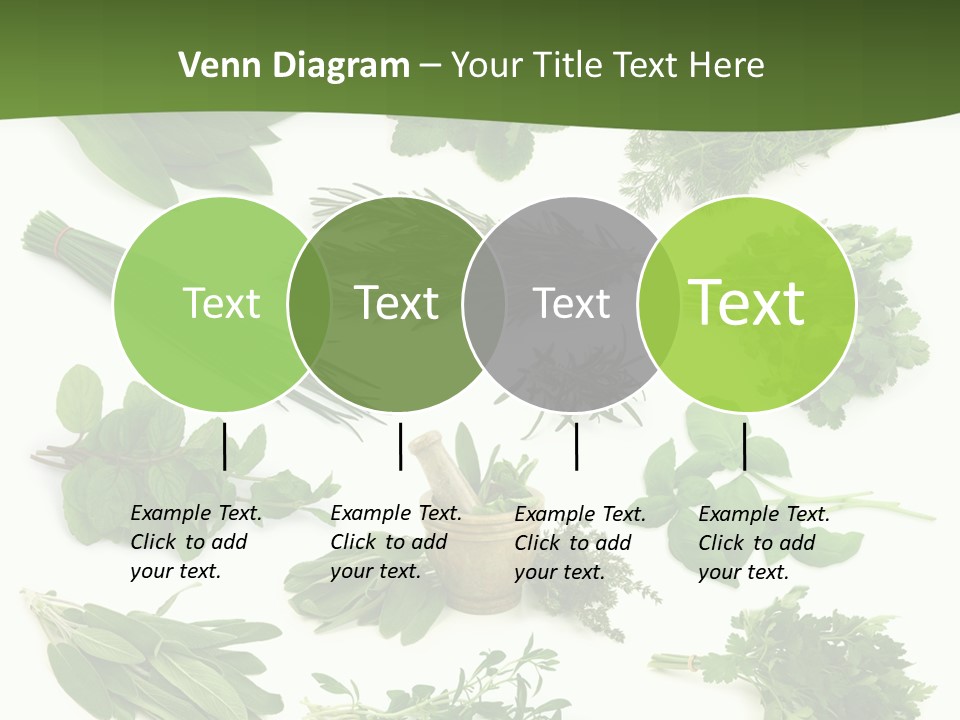 Natural Herbs PowerPoint Template