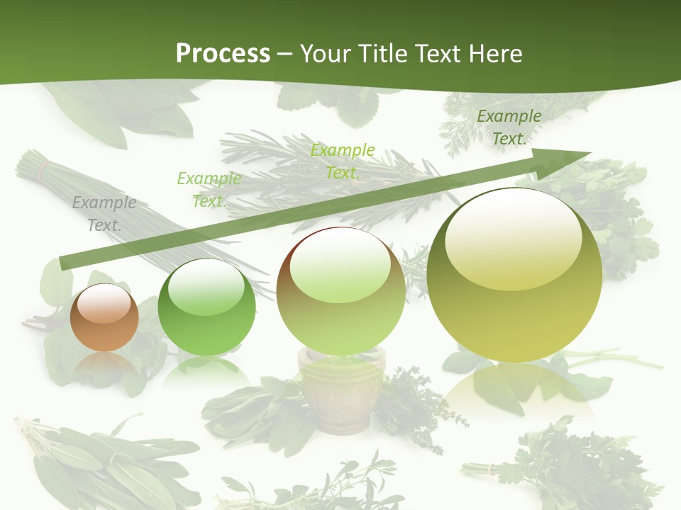 Natural Herbs PowerPoint Template