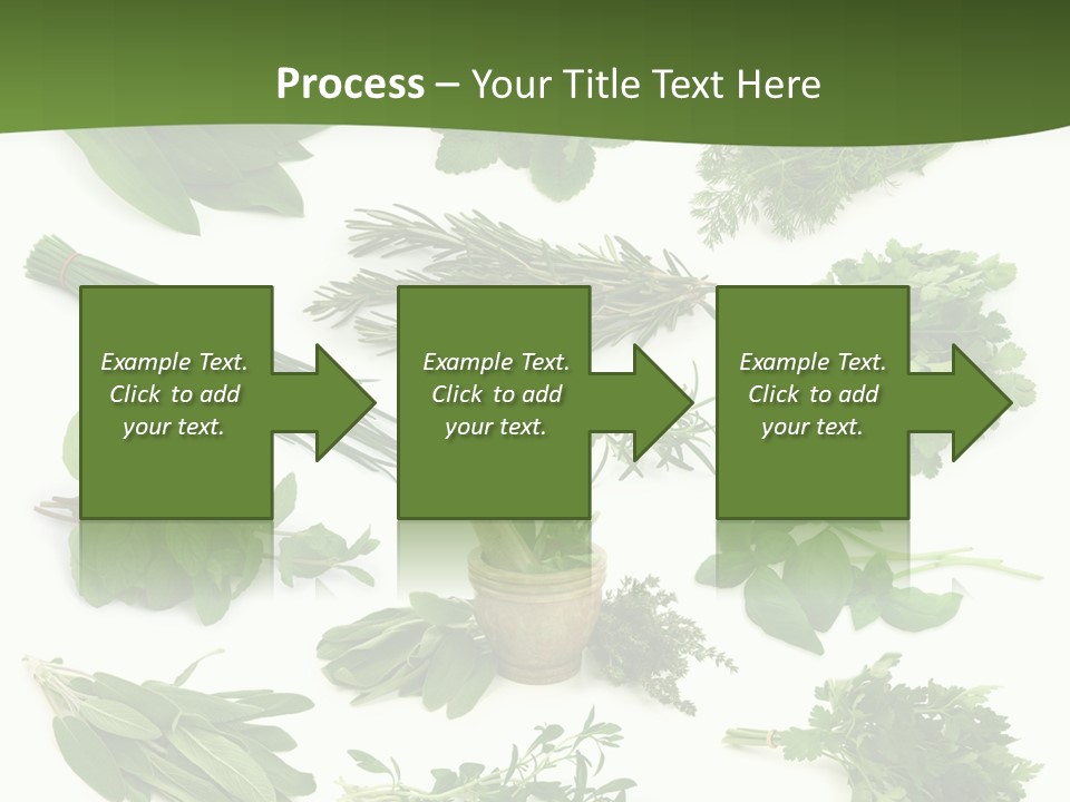 Natural Herbs PowerPoint Template
