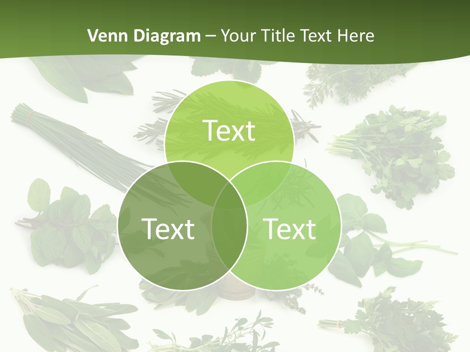 Natural Herbs PowerPoint Template