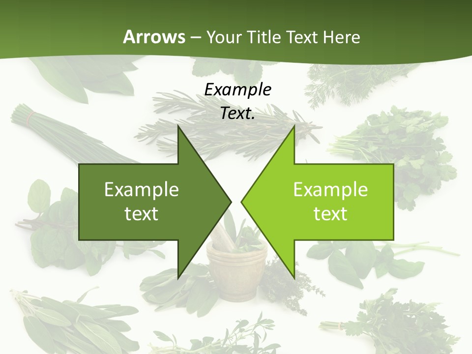 Natural Herbs PowerPoint Template