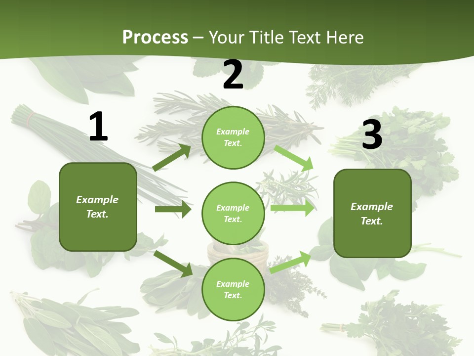 Natural Herbs PowerPoint Template