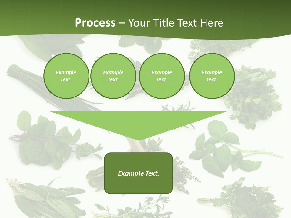 Natural Herbs PowerPoint Template