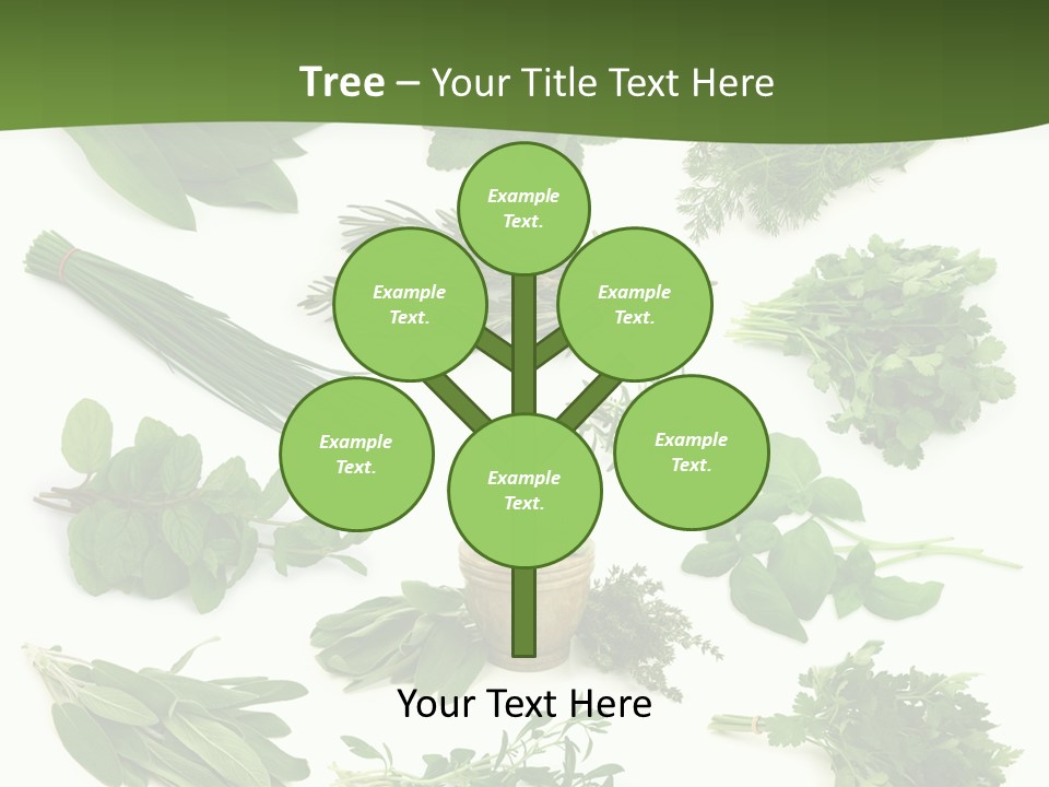 Natural Herbs PowerPoint Template