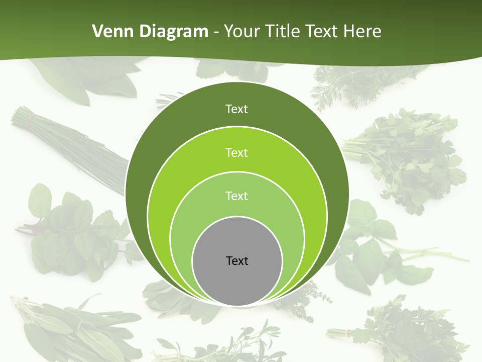 Natural Herbs PowerPoint Template