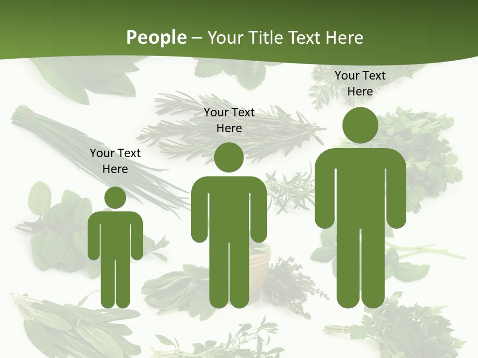 Natural Herbs PowerPoint Template