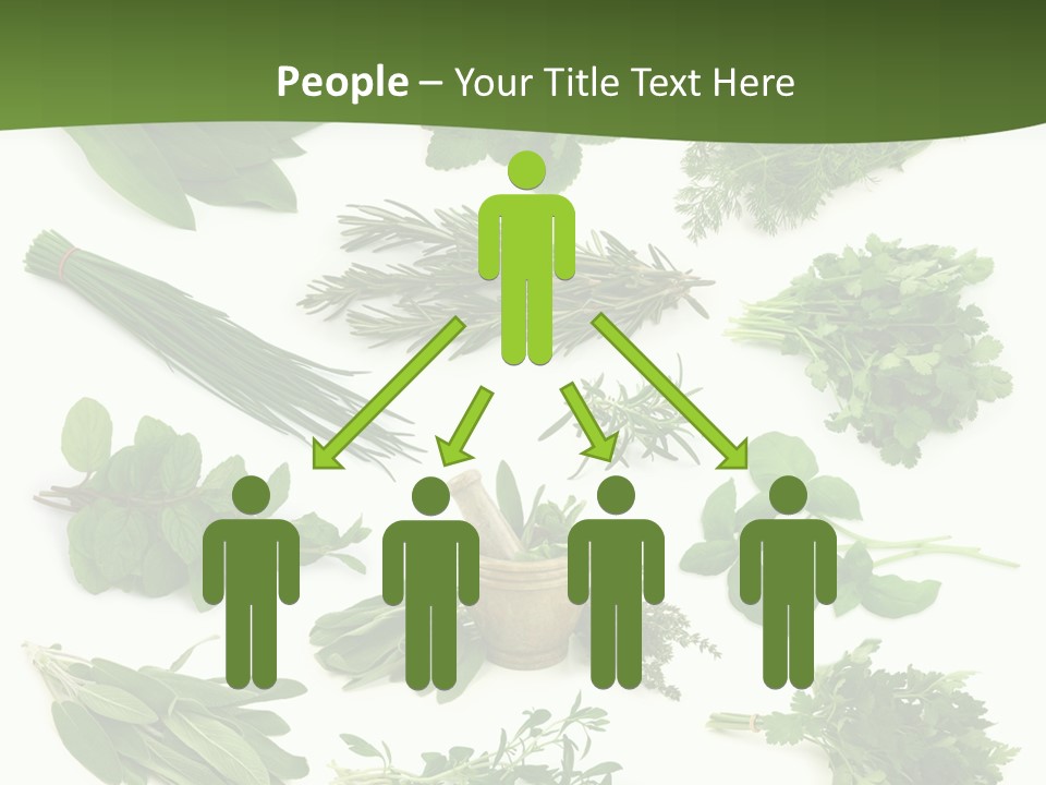 Natural Herbs PowerPoint Template