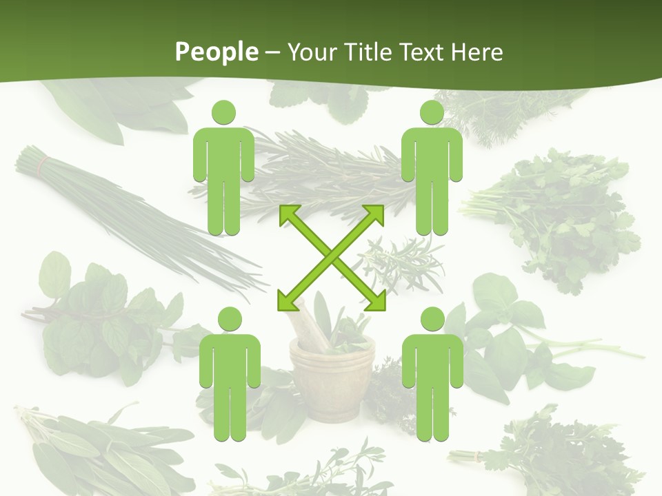Natural Herbs PowerPoint Template