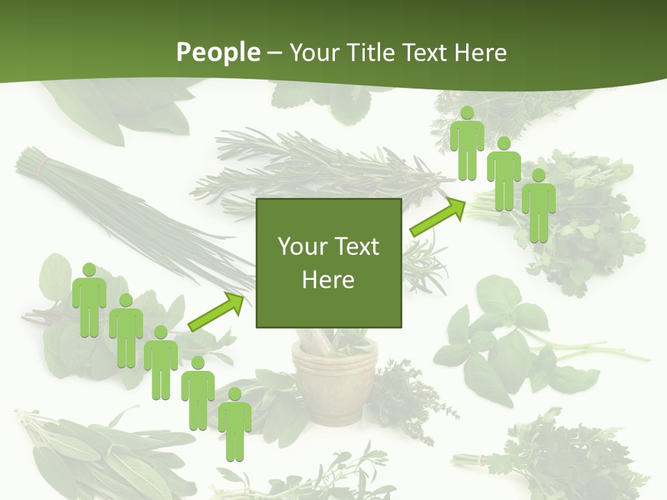 Natural Herbs PowerPoint Template