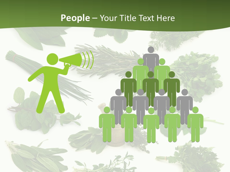 Natural Herbs PowerPoint Template