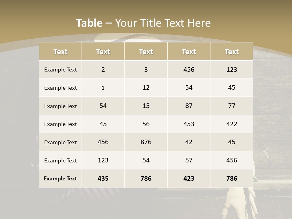 Retro Girl Photography PowerPoint Template