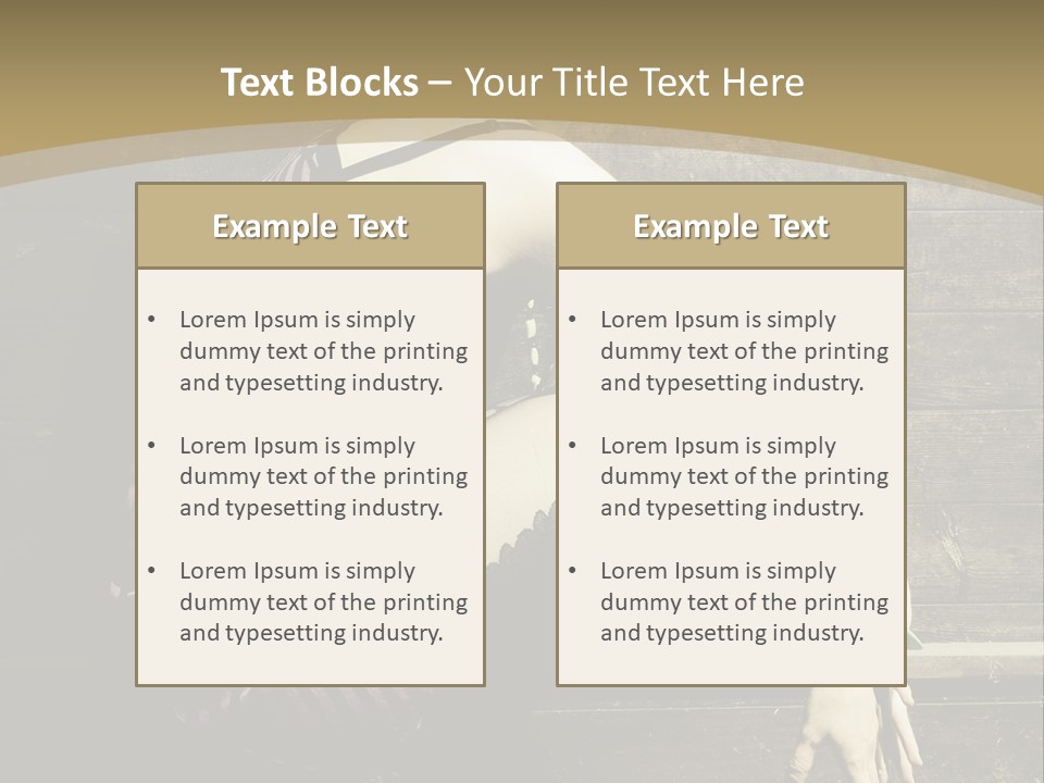 Retro Girl Photography PowerPoint Template