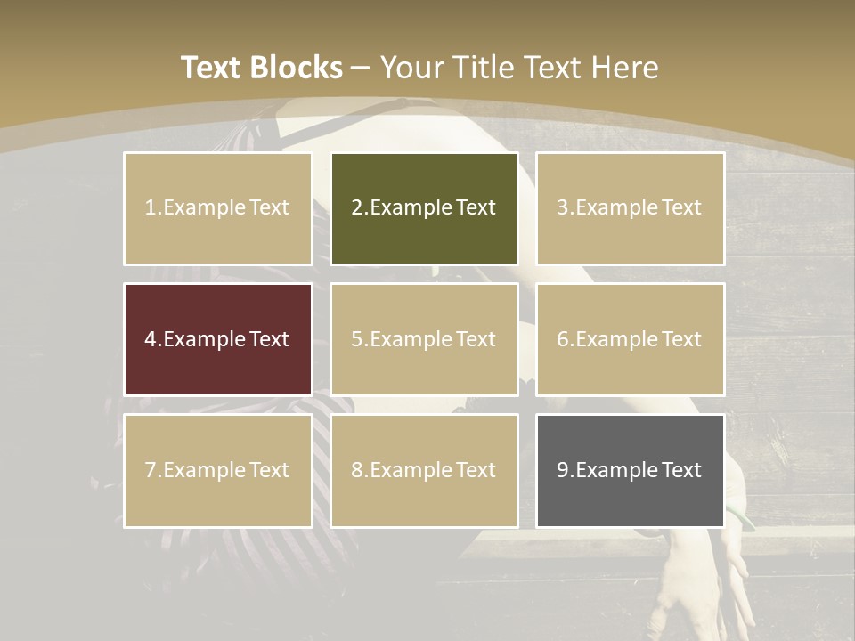 Retro Girl Photography PowerPoint Template