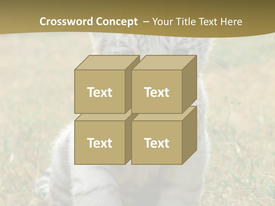 Baby White Tigers PowerPoint Template