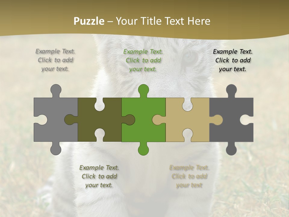 Baby White Tigers PowerPoint Template