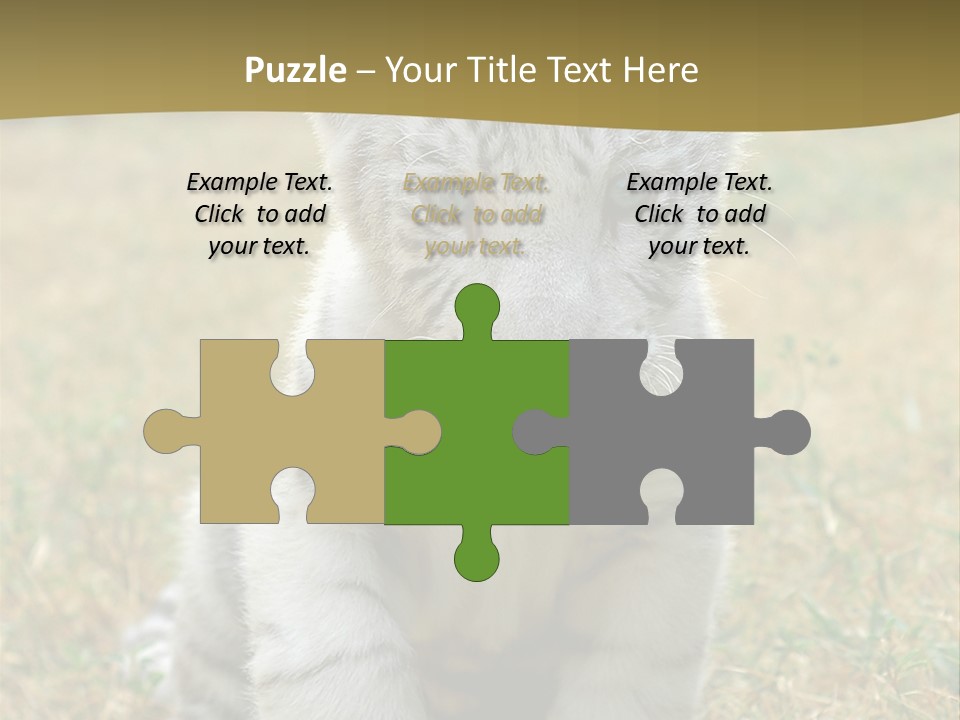 Baby White Tigers PowerPoint Template