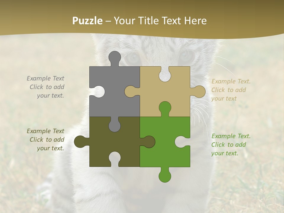 Baby White Tigers PowerPoint Template