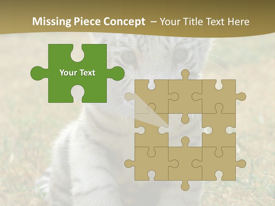 Baby White Tigers PowerPoint Template